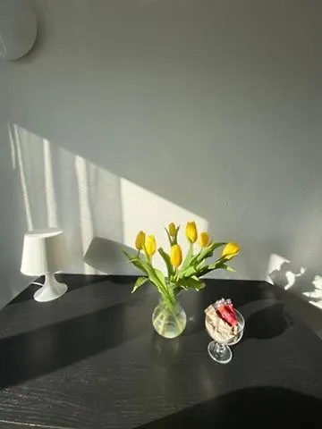 Living & Apartamento *