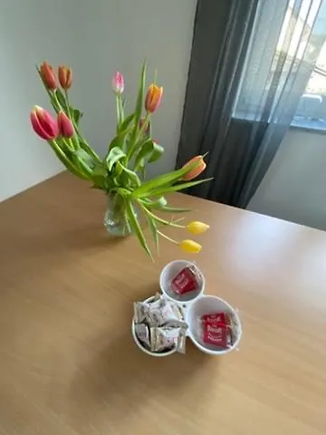 Living & Apartamento